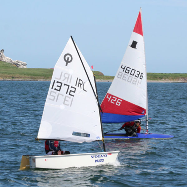 Level 2: BASIC SKILLS